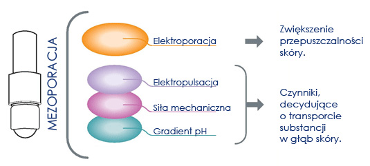 Zasada działania mezoporacji Acthyderm